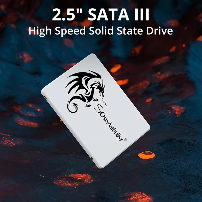 SomnAmbulist SATA3 SSD 2.5 Inc - Pc Gaming Upgrades 리뷰 및 가격