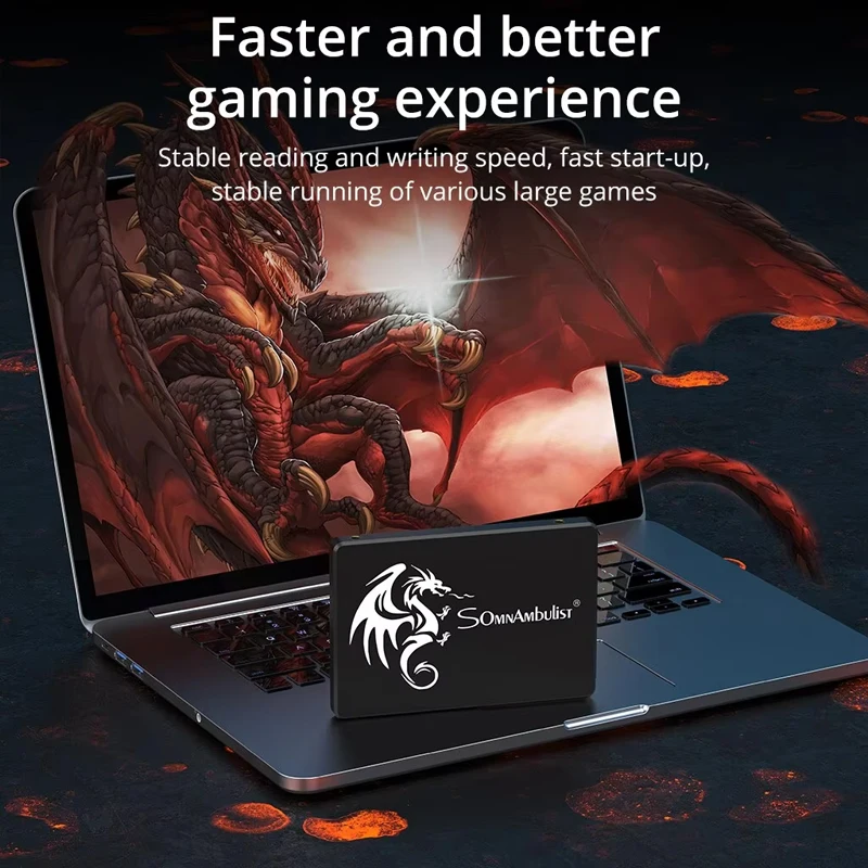 SomnAmbulist SATA3 SSD 2.5 Inc - Pc Gaming Upgrades 리뷰 및 가격