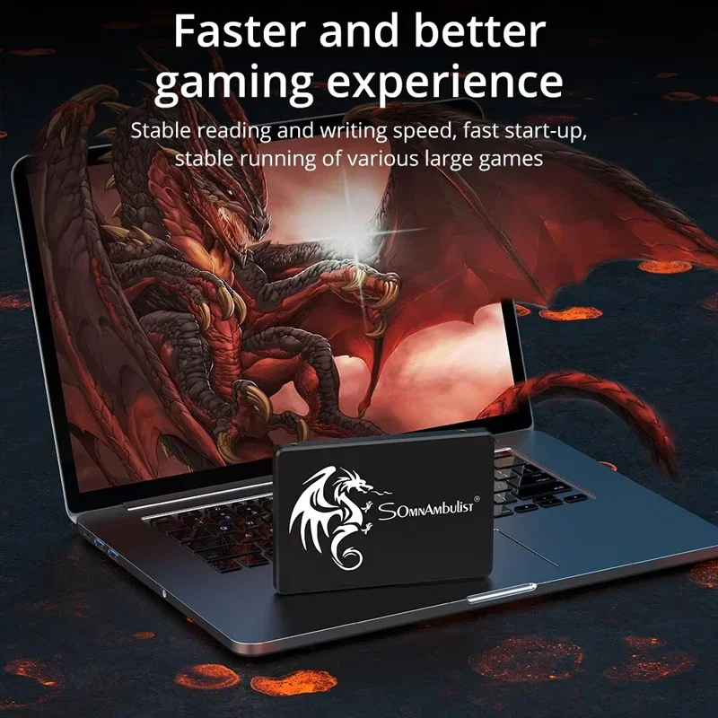 SomnAmbulist SATA3 SSD 2.5 Inc - Pc Gaming Upgrades 리뷰 및 가격